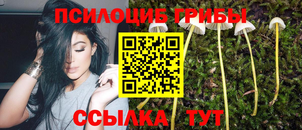 Псилоцибиновые грибы GOLDEN TEACHER  Вход с VPN  Павлово  Псилоцибиновые грибы мицелий 