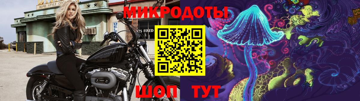 Галлюциногенные грибы MAGIC MUSHROOMS Павлово